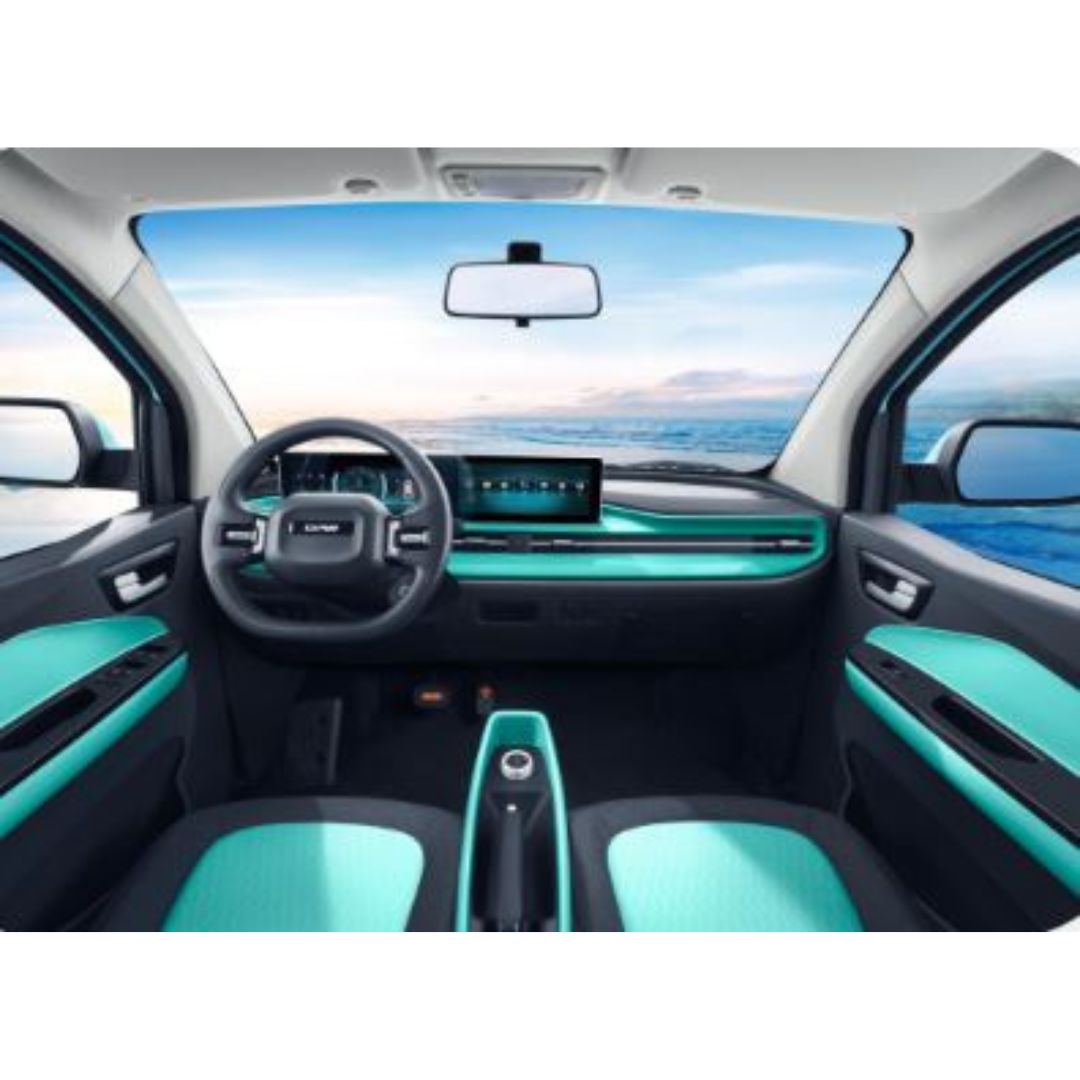 BAW Brumby LUXURY VERSION