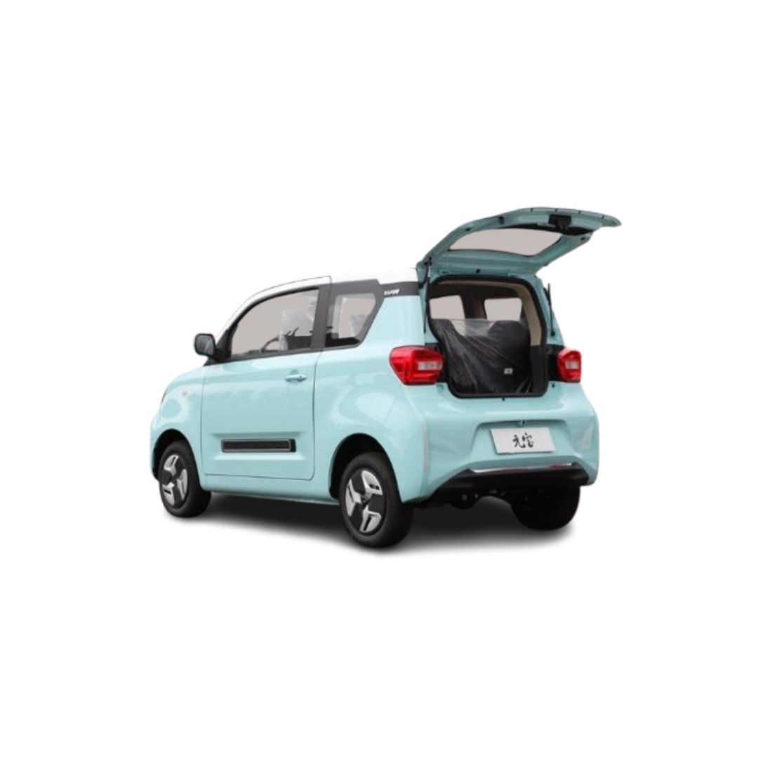 BAW PONY Luxury version