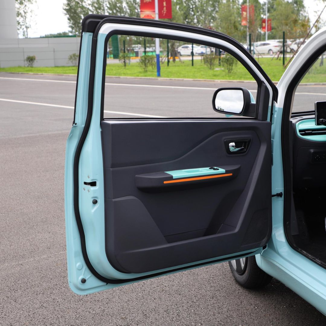 BAW PONY Luxury version