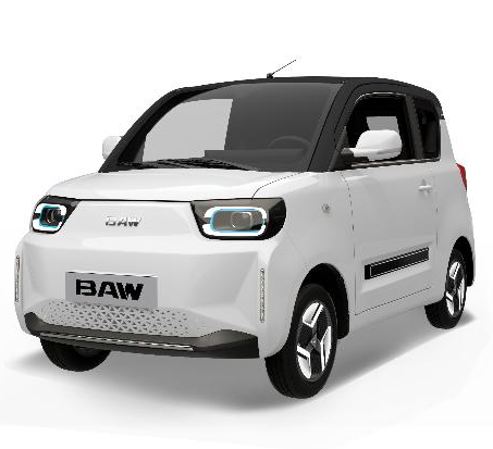 BAW PONY Luxury version